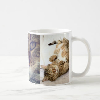 Caneca De Café Chestermug