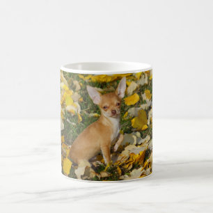 Caneca De Café Chihuahua Puppy Adorável Entre Folhas Amarelas