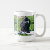 CHIMPANZÉS