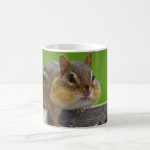 Caneca De Café Chipmunk
