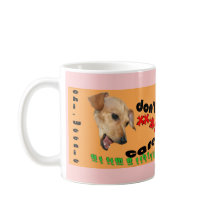 Chiweenie não se importa