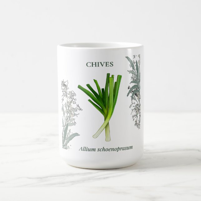 Caneca De Café Ciboulette — Allium schoenoprasum (Centro)