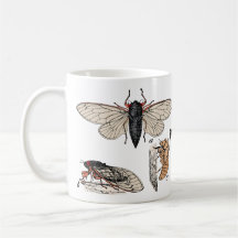 Cicadas Duplo Brood 2024 Mug