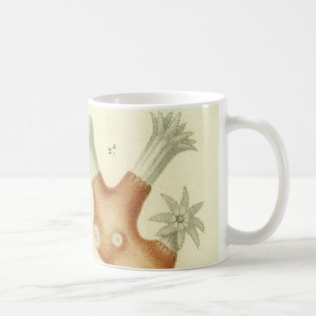 Caneca De Café Ciência — Biologia Do Livro De Têxteis — Animais D (Direita)