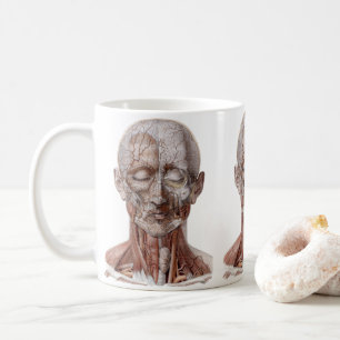 Caneca De Café Ciência de Anatomia Humana Antiga, Cabeça Garganta