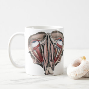 Caneca De Café Ciência de Anatomia Humana Antiga, Globos Oculares
