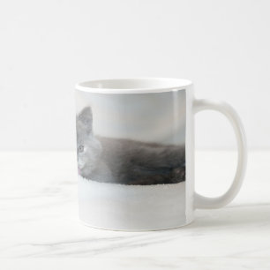Caneca De Café Cinza De Kitten Licitando Neve