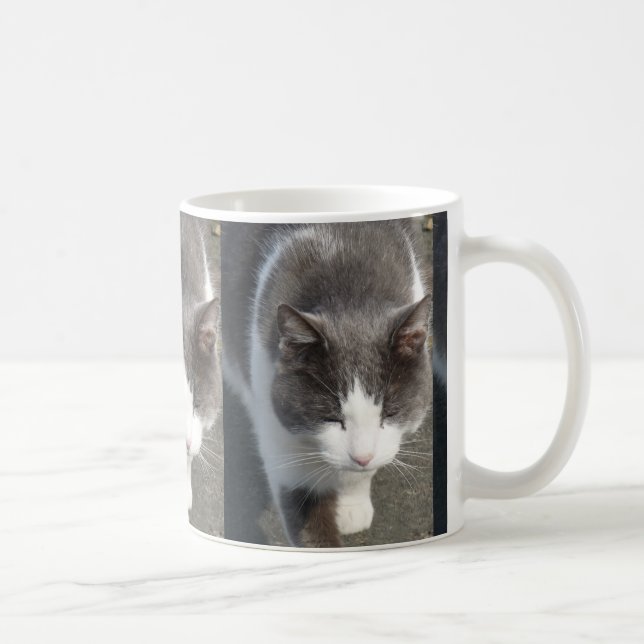 Caneca De Café Cinza E Gato Branco (Direita)