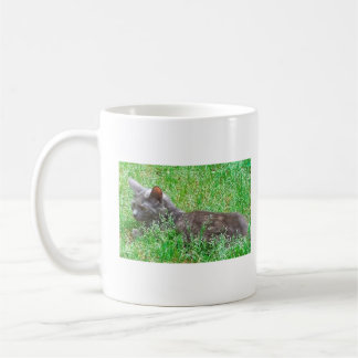 Caneca De Café Cinza Tortie Cat