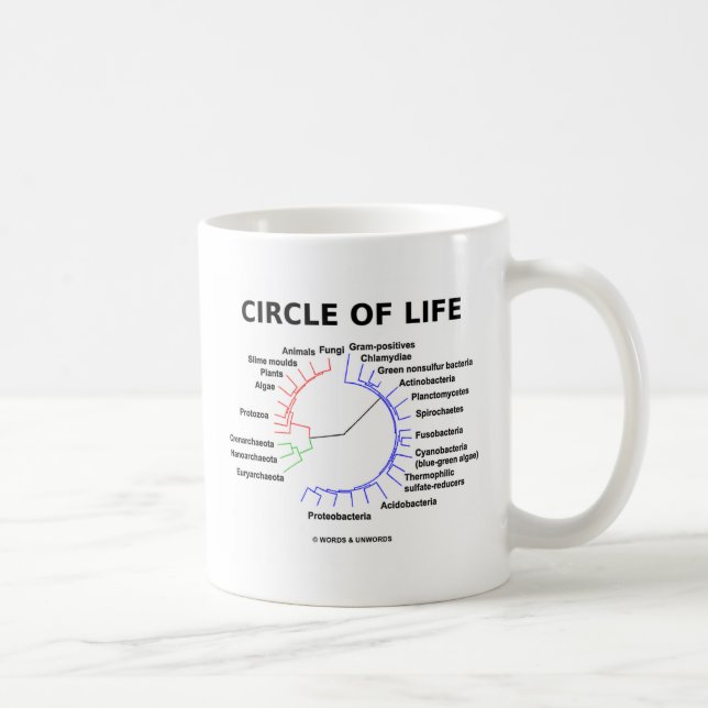 Caneca De Café Círculo da vida (árvore filogenética circular) (Direita)