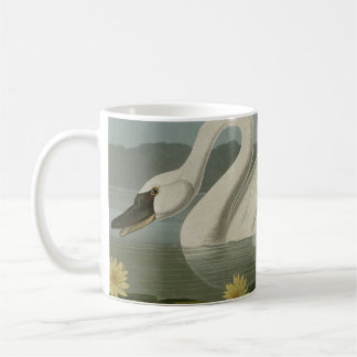 Caneca De Café Cisne americana comum