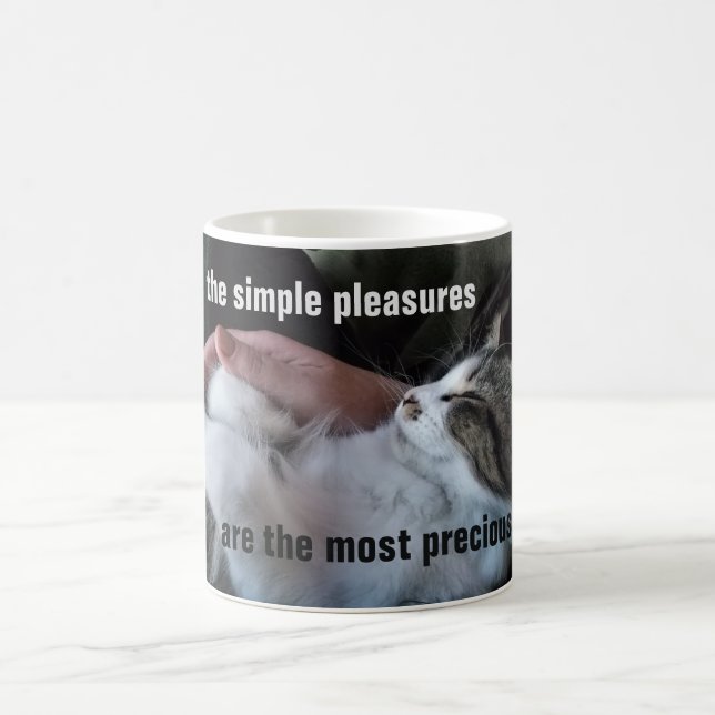 Caneca De Café Citação de Gatinho Fofo Prazeres Simples Mais Prec (Centro)