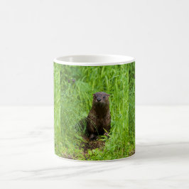 Caneca De Café Clever River Otter
