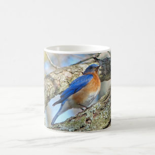 Caneca De Café Coffee Mug Bluebird
