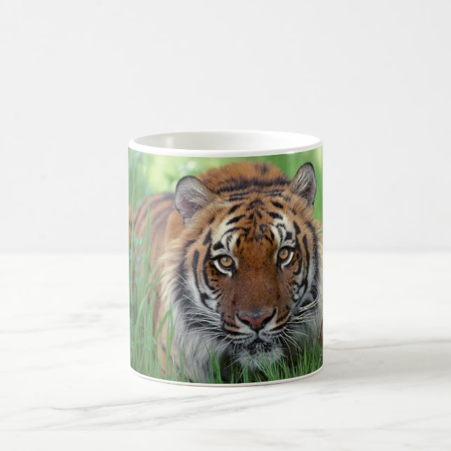 Caneca De Café Coffee Mug-Tiger Cerâmico (Centro)