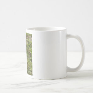 Caneca De Café Coisas de lebre de coelho coelho