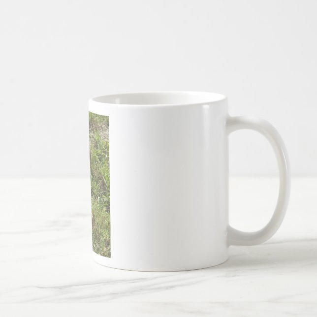 Caneca De Café Coisas de lebre de coelho coelho (Direita)