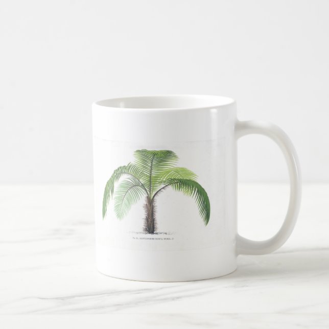 Caneca De Café coleção tropical da palmeira - desenho VI (Direita)
