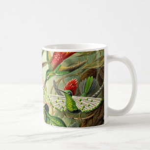 Caneca De Café Colibri do Trochilidae de Ernst Haeckel