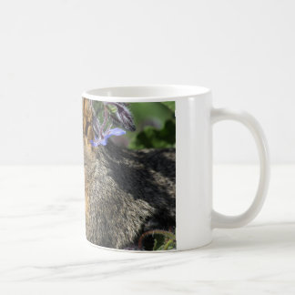 caneca de café com esquilo