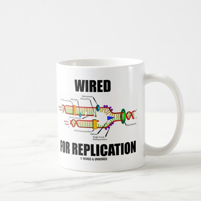 Caneca De Café Com Fio para Replicação (Replicação do DNA) (Direita)