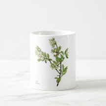 Caneca de café com flor de mirtilo