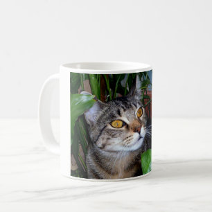 Caneca de Café com Foto do Seu Gato