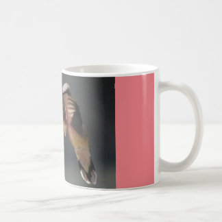 caneca de café com resto do colibri…