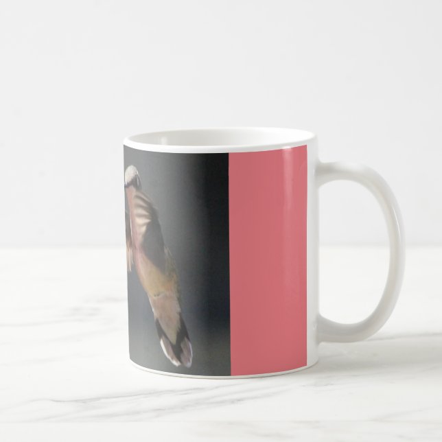 caneca de café com resto do colibri… (Direita)