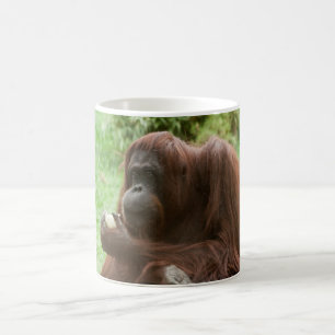 Caneca De Café Comendo Orangutan