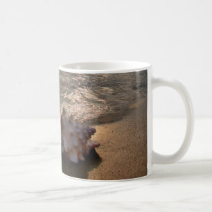 Caneca De Café Conch Shell na praia   St Augustine, Fl