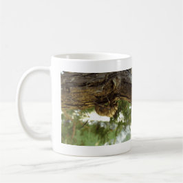 Caneca De Café Concha de Cicada. Estava com pressa.