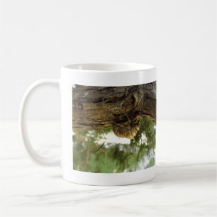 Caneca De Café Concha de Cicada. Estava com pressa.