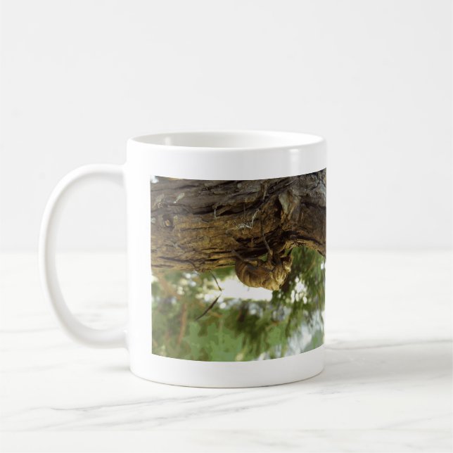 Caneca De Café Concha de Cicada. Estava com pressa. (Esquerda)