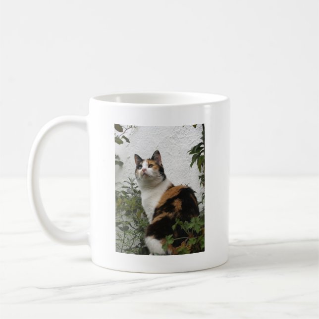 Caneca De Café Concha de tartaruga e gato branco (Esquerda)