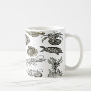 Caneca De Café Conchas na costa