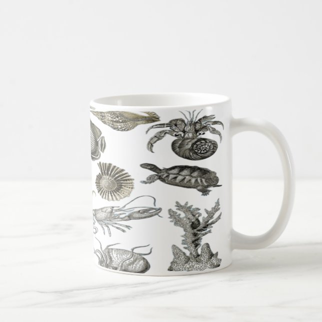 Caneca De Café Conchas na costa (Direita)