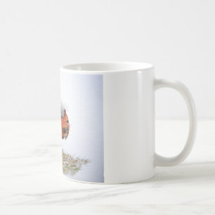 Caneca De Café cone de pino de Esquilo Vermelho