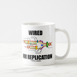 Caneca De Café Conectado Para Replicação (Replicação de DNA)