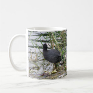 Caneca De Café Coot no Riverbank Mug