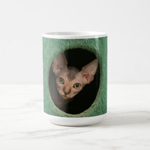Caneca De Café Copo com um gatinho bonito do sphynx