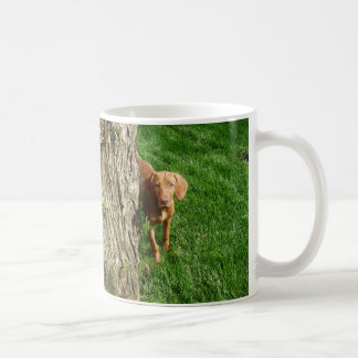 Caneca De Café Copo de Vizsla