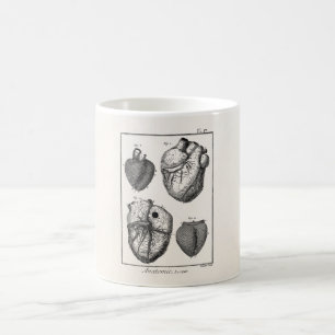 Caneca De Café Corações cardíacos retros da anatomia do coraç