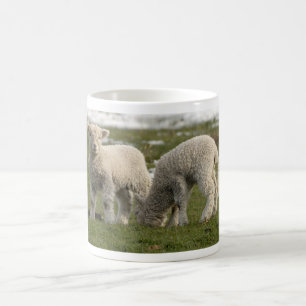 Caneca De Café Cordeiros recém-nascidos