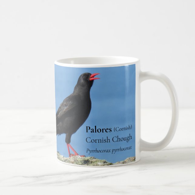 Caneca De Café Cornish Choughs (Palores) Pyrhocorax pyrhocorax (Direita)
