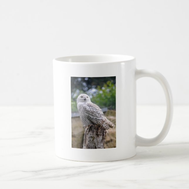 Caneca De Café Coruja-das-neves (Direita)