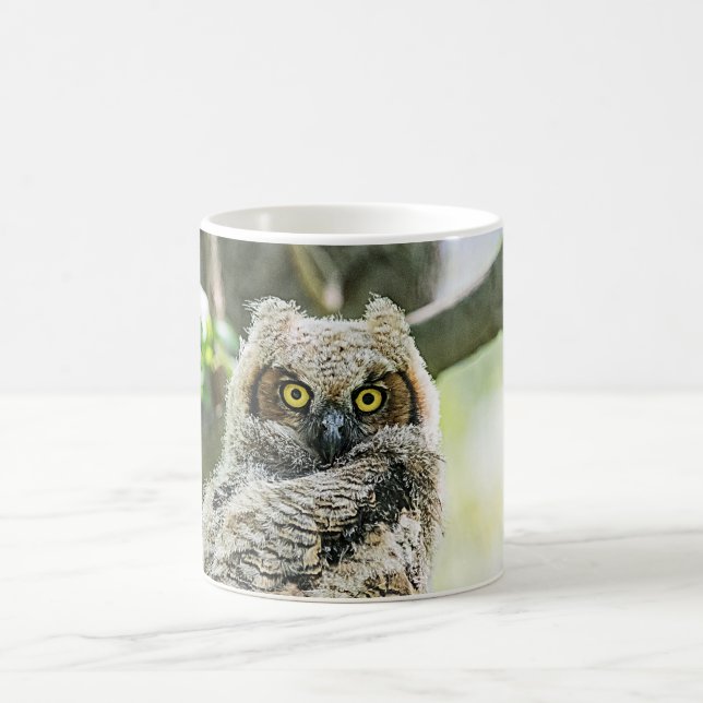 Caneca De Café Coruja excelente (Centro)