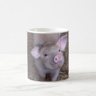 Caneca De Café Cozmico