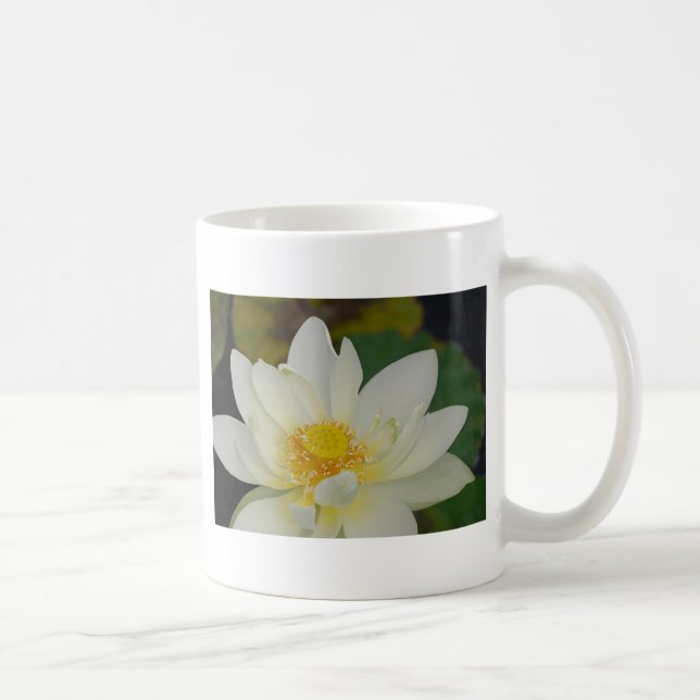 Caneca De Café Cream Water Lily02.JPG (Direita)