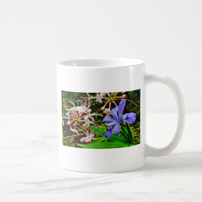 Caneca De Café Crested Dwarf Iris (Direita)